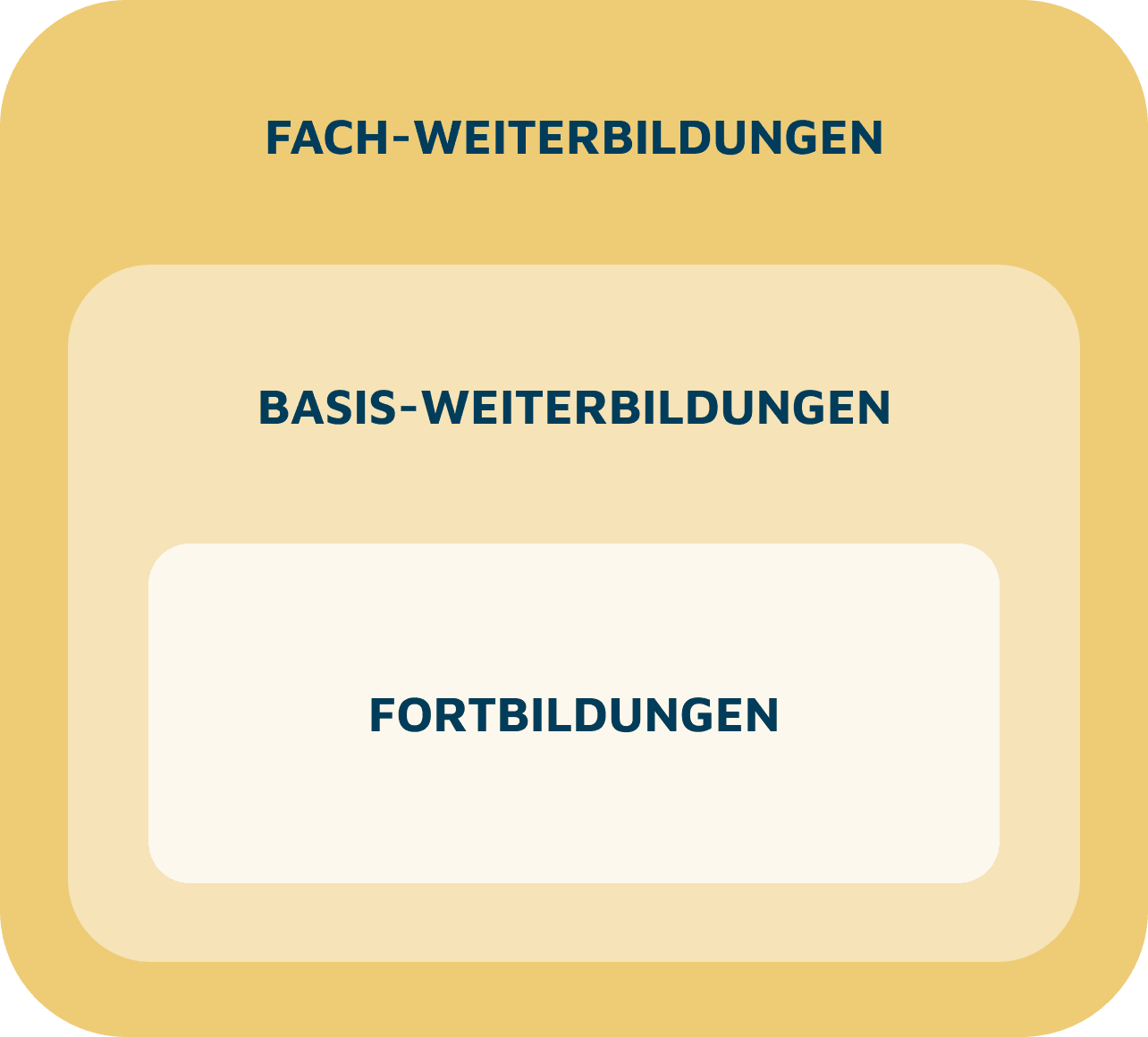 VFAP Kurssystem Aufbau